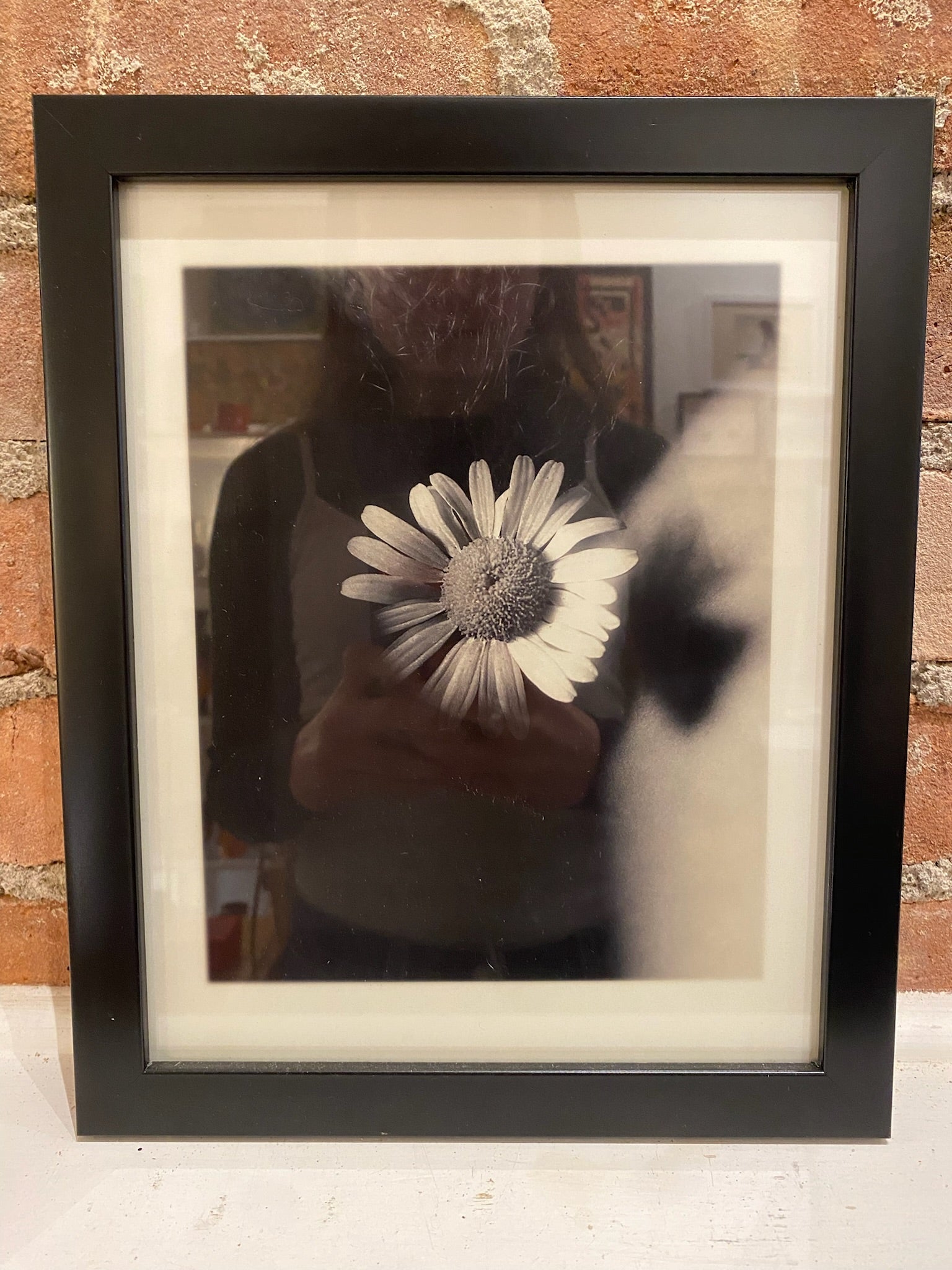 Daisy