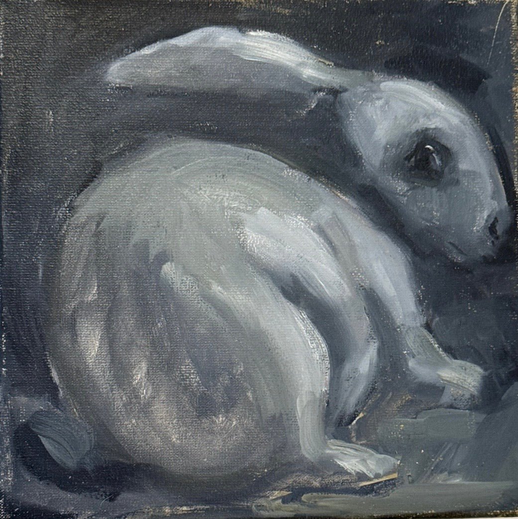 Animal Magic Series, Cleo Sullivan