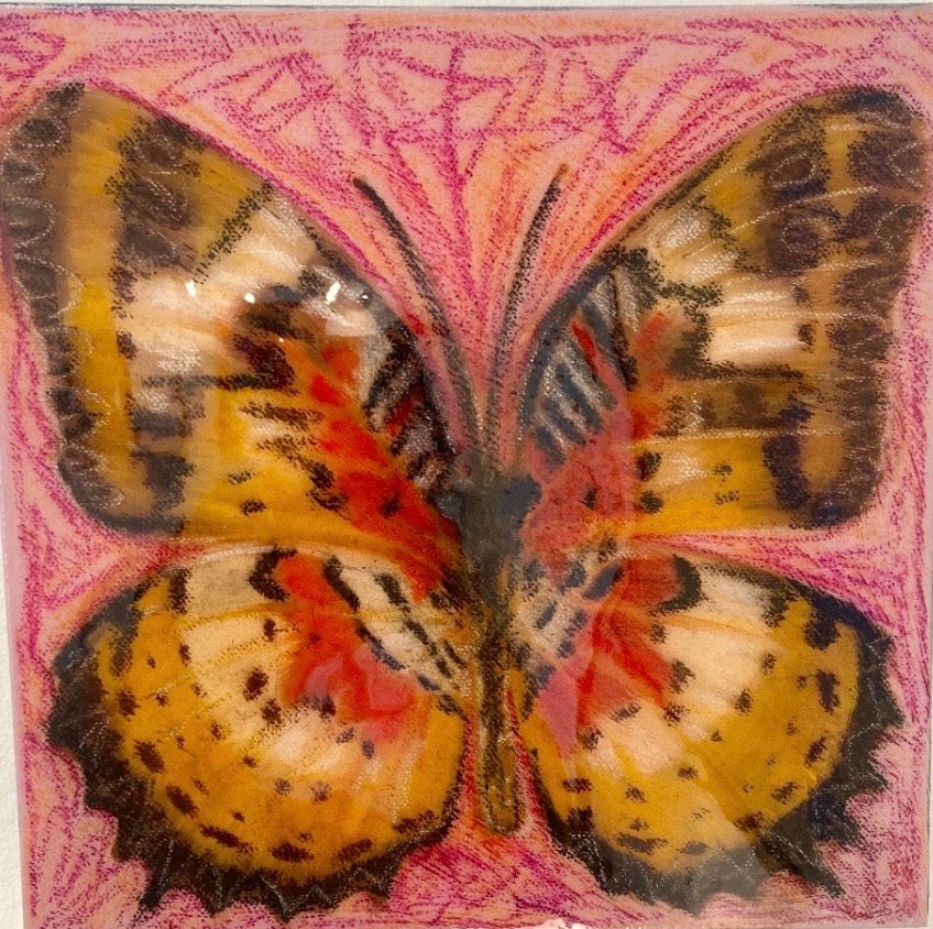 Glossy Butterfly, Emily Cate Sabree
